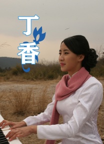 毛片导航